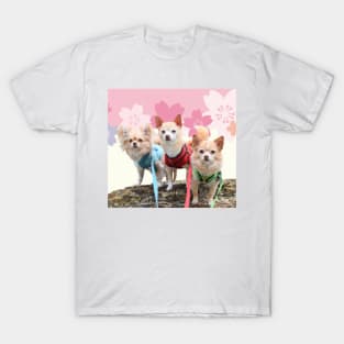 Sakura Chihuahuas T-Shirt